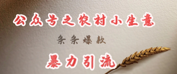 deepseek写农村小项目，条条爆款，暴力引流-创米阁｜副业实操经验分享